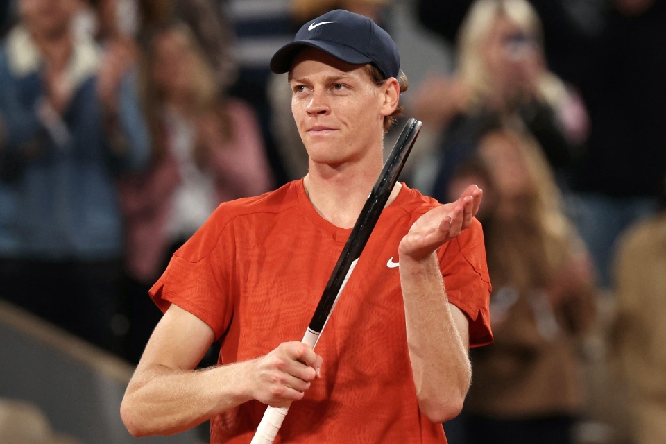 引擎排名逻 引擎排名逻