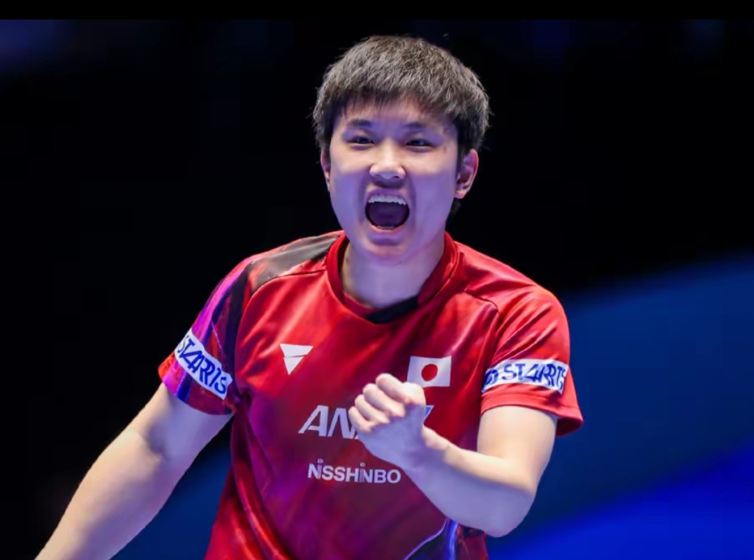 不仅能够迅 不仅能够迅